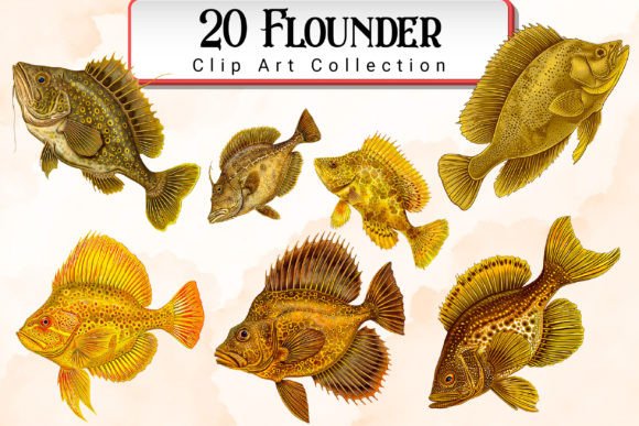 Download Flounder Clipart Bundle - Premium Resources