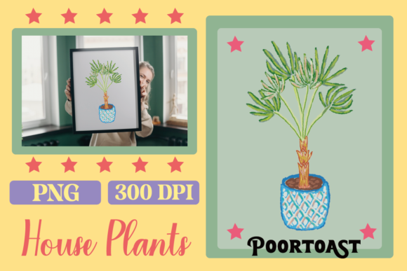 Download Houseplants Crayon Clipart - Plants Collection